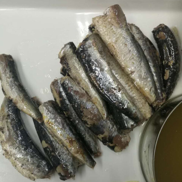 Canned Sardine