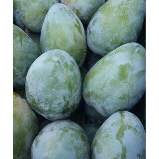 Fresh Mango
