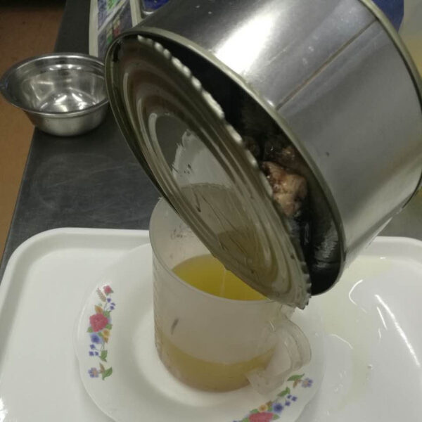 Canned Sardine - Image 5