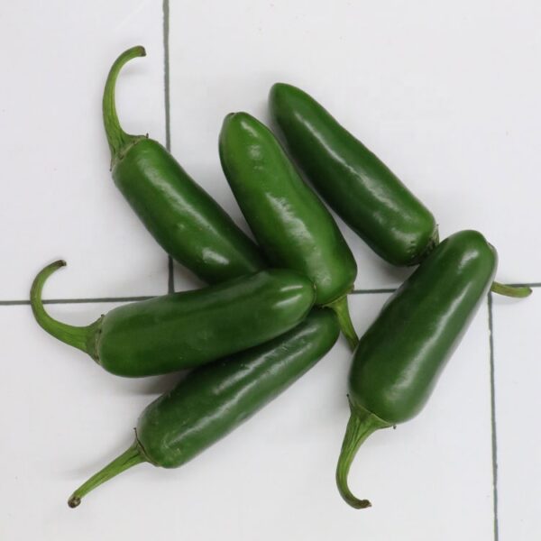 Chilli Pepper - Image 3