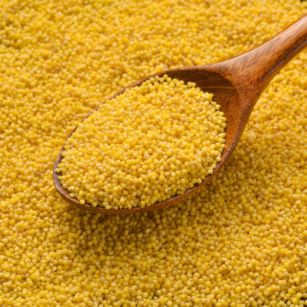 Millet