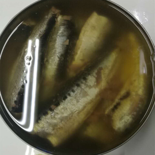 Canned Sardine - Image 4