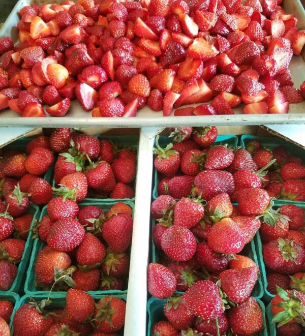 Strawberry - Image 2