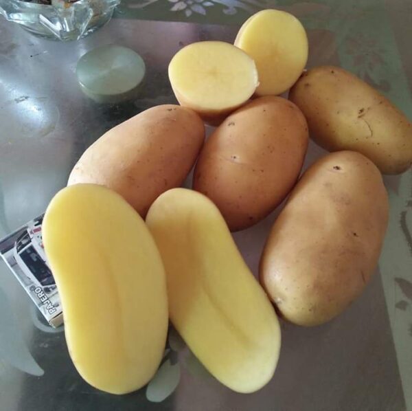Fresh Potatoes