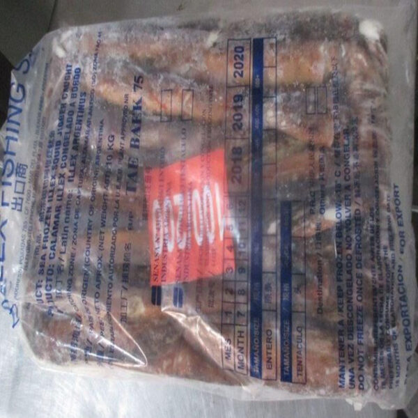 Frozen Squid - Image 3