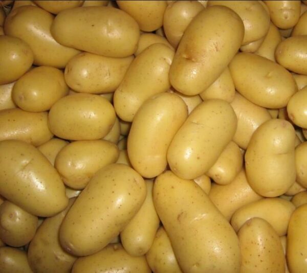 Fresh Potatoes - Image 3
