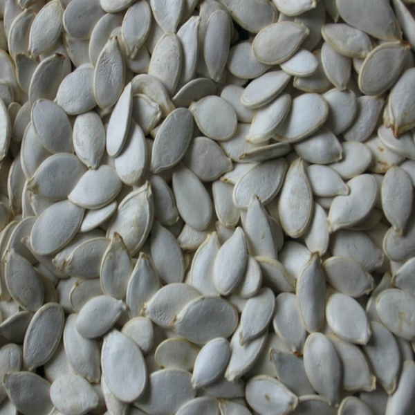 Pumpkin Seed