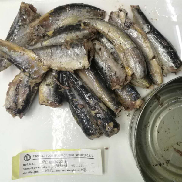 Canned Sardine - Image 2