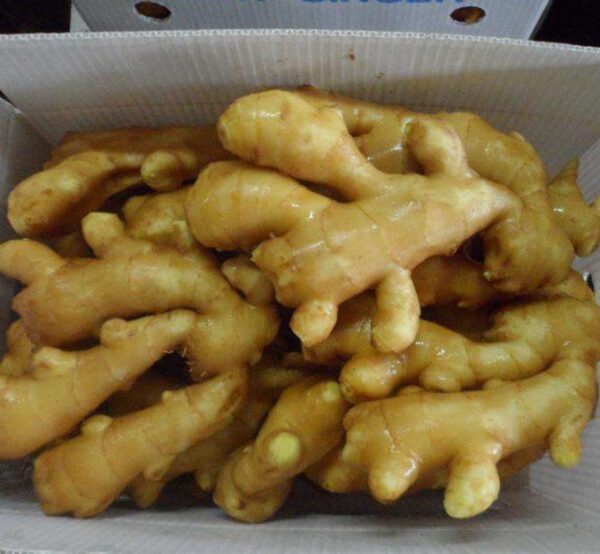 Fresh Ginger - Image 4