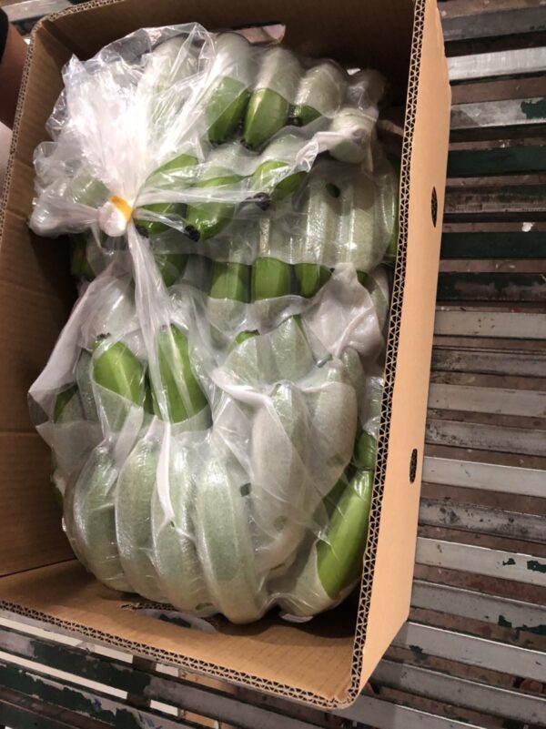 Green Cavendish Banana - Image 2