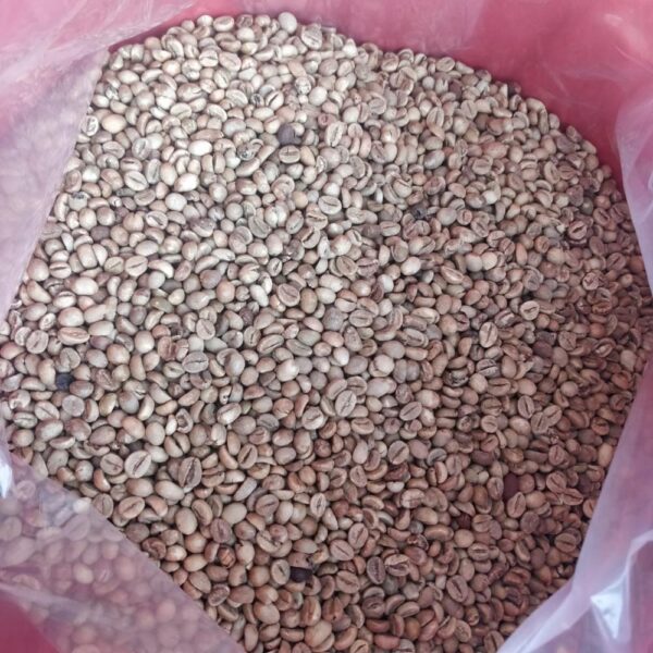 Coffee Beans - Image 2