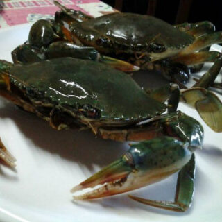 Live & Frozen Crabs