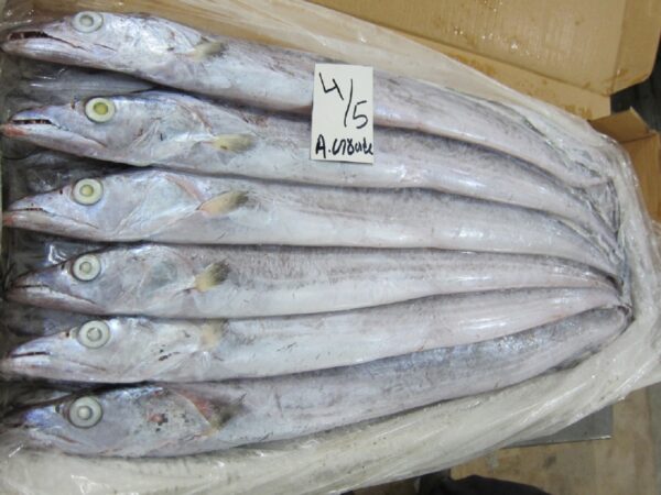 Ribbon Fish - Image 2
