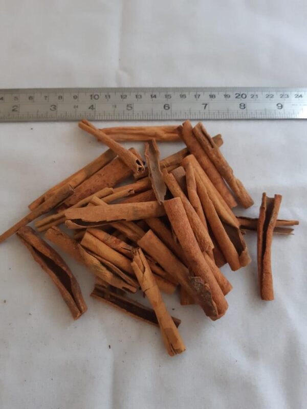 Cinnamon Stick - Image 2