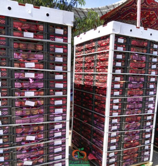 Pomegranate Fruit - Image 3