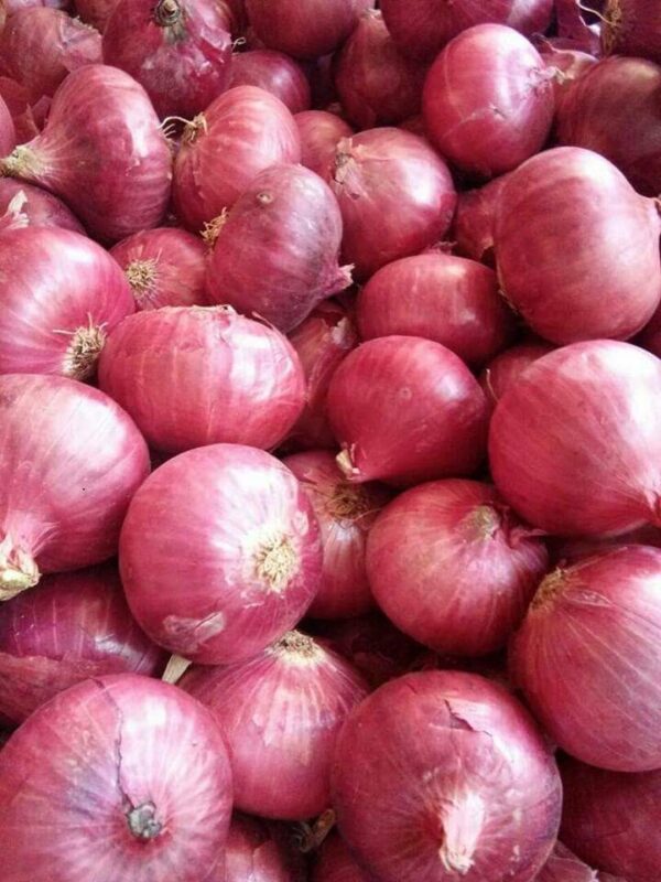 Onions - Image 3