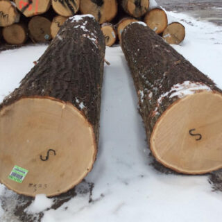 Wood Logs