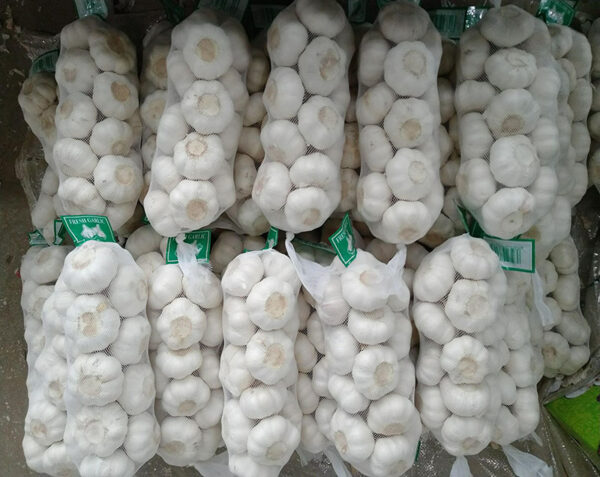 Fresh Garlic - Image 2