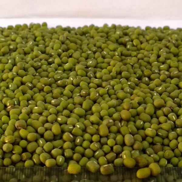 Green Mung Beans - Image 3