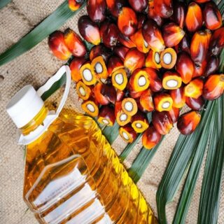 RBD Palm Olein Oil