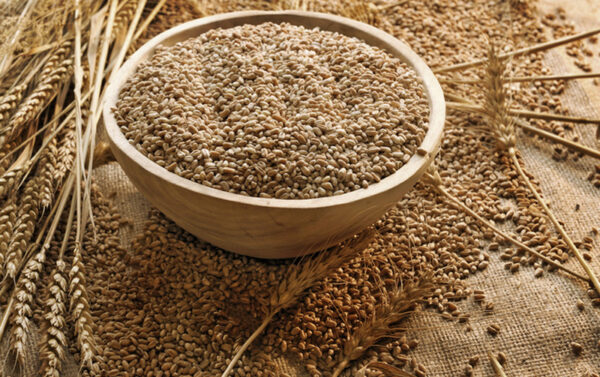 Wheat Bran - Image 2